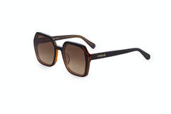 Eyeglasses| VEGAS VG8602