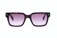 Sunglasses| VEGAS SPLQ73