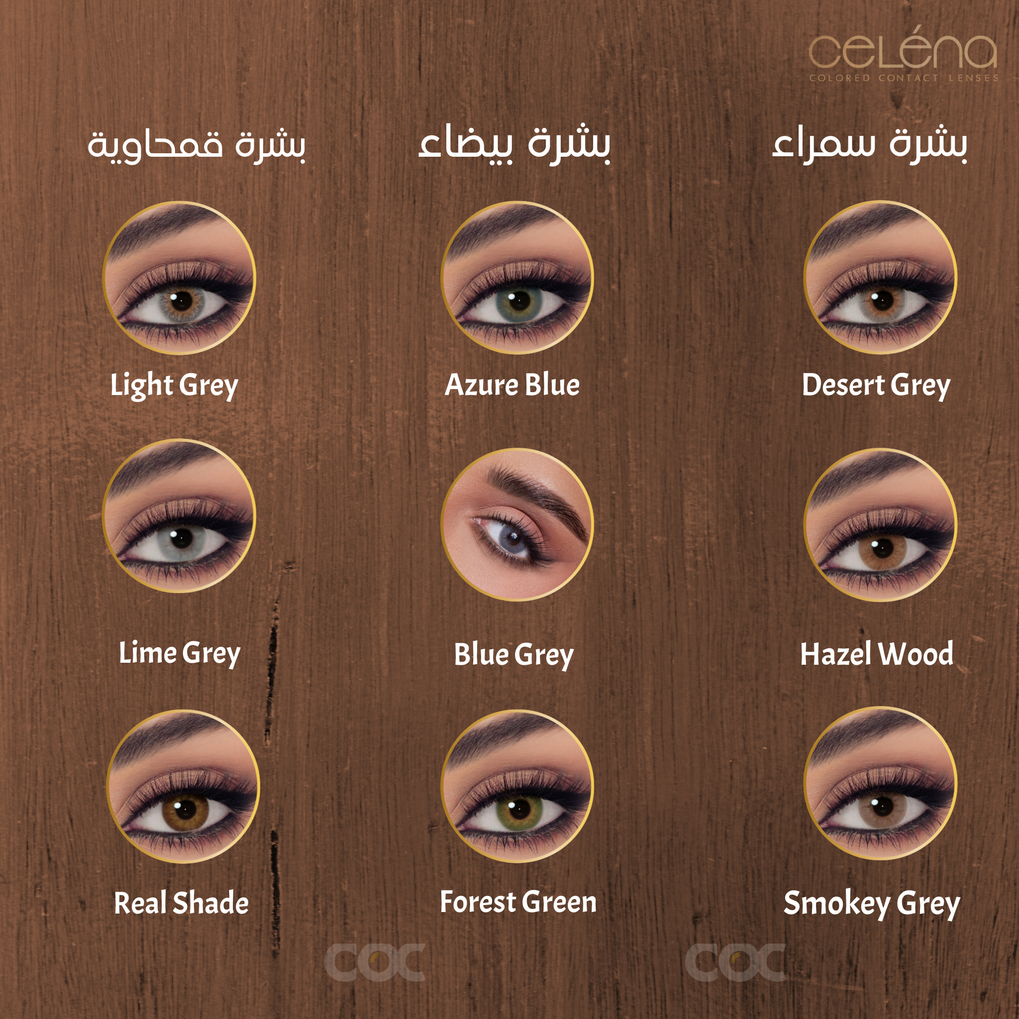 CELENA Natural: Light Gray - Monthly - COC Eyewear