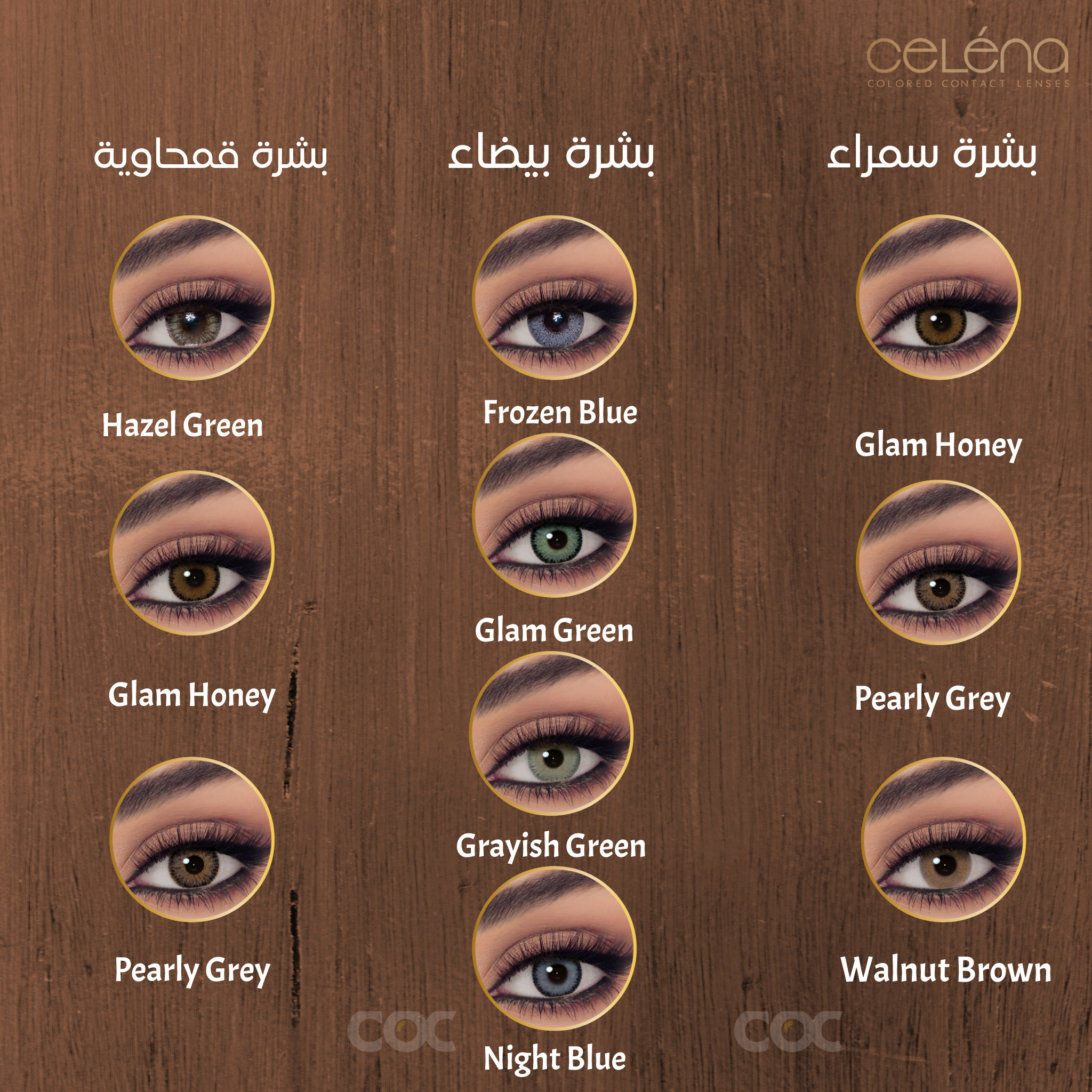 CELENA Shaded: Glam Honey - Monthly - COC Eyewear