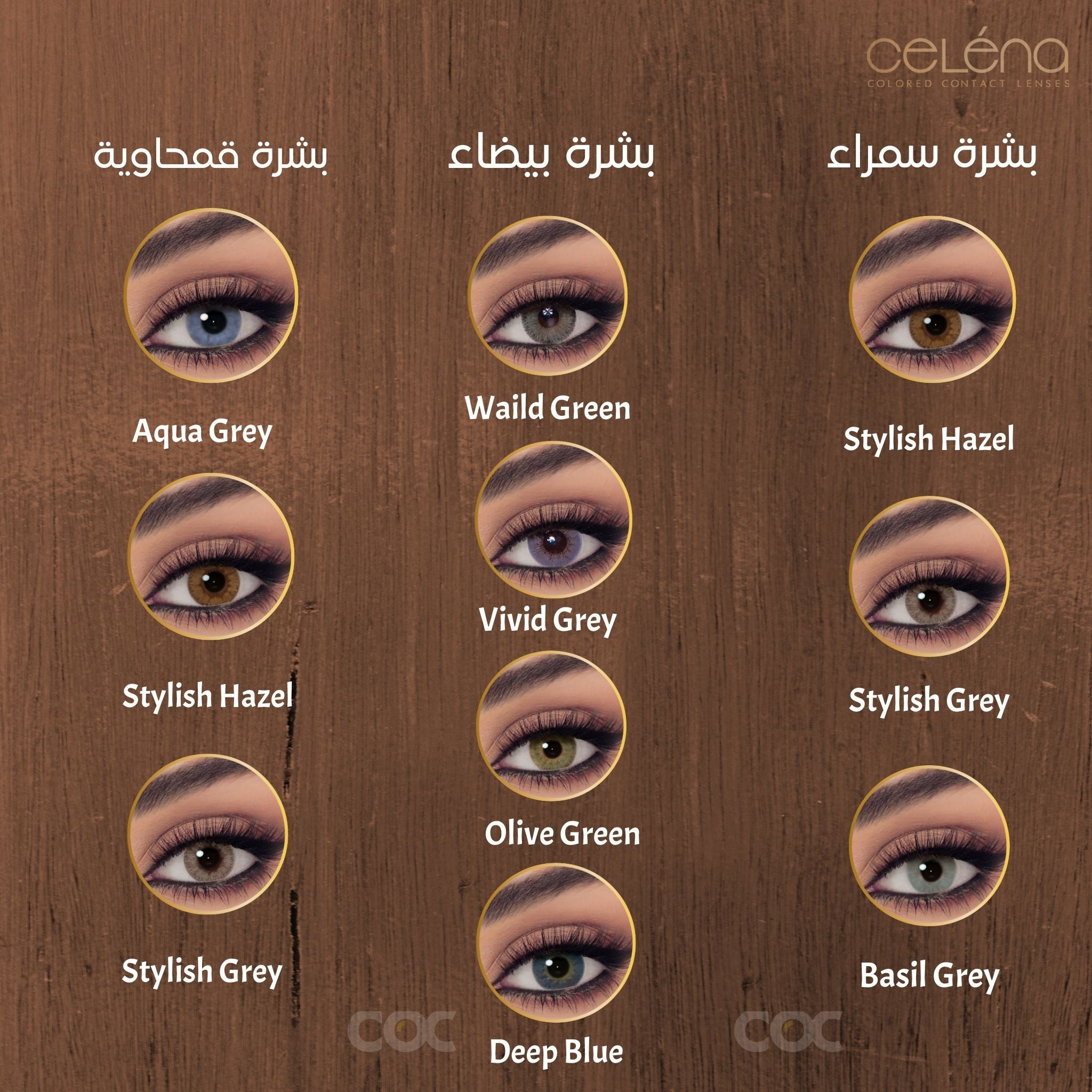 CELENA : Stylish Hazel - Daily - COC Eyewear