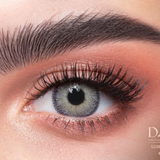 DAHAB Gold: Lumirere Gray - Daily - COC Eyewear