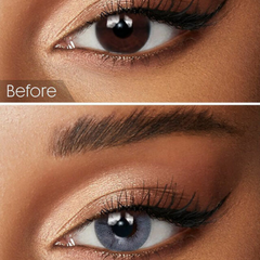 Bella One Day Contact Lenses  : Bluish Gray