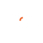 coceyewear logo