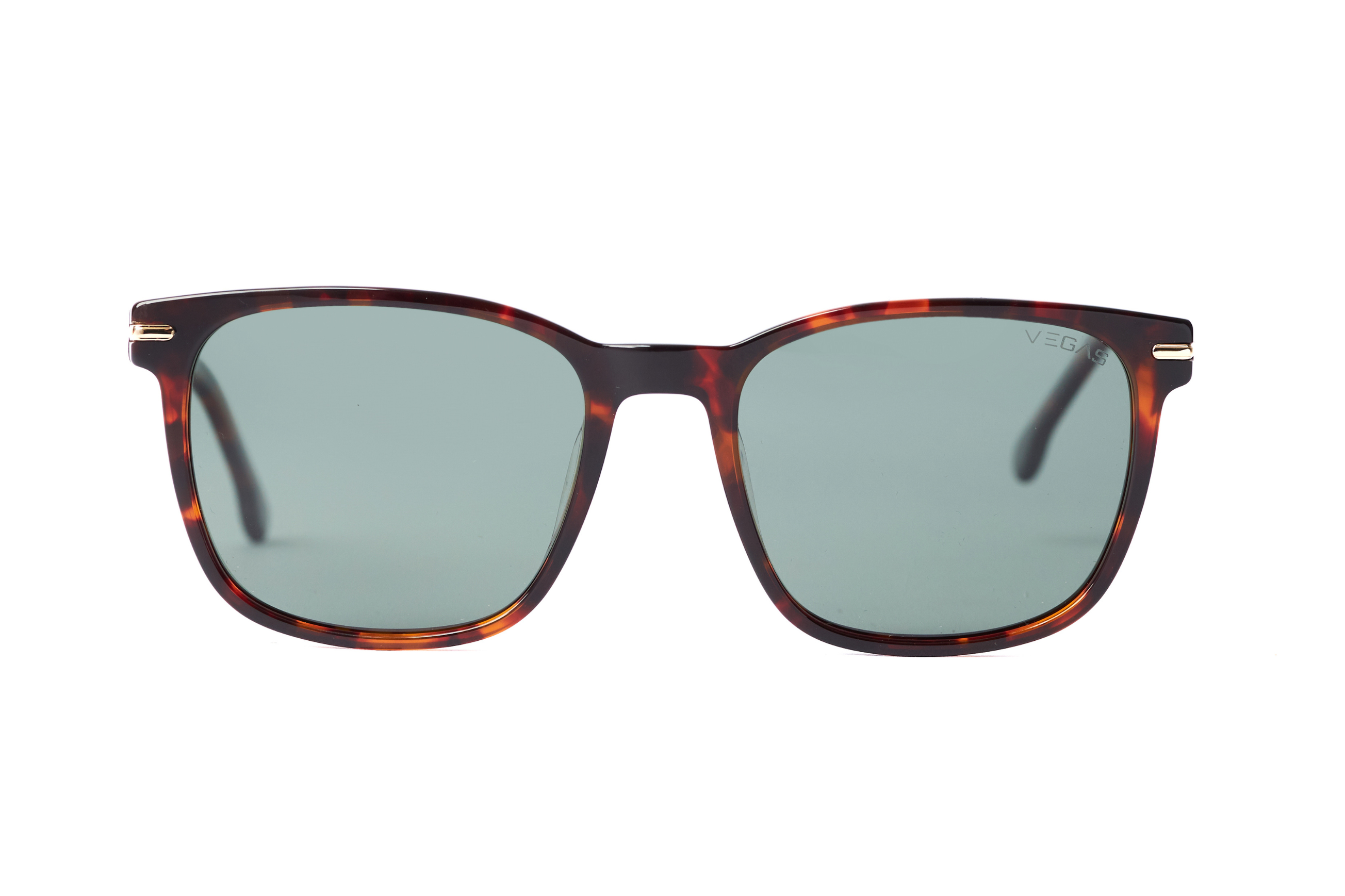 Sunglasses| VEGAS CA300/S