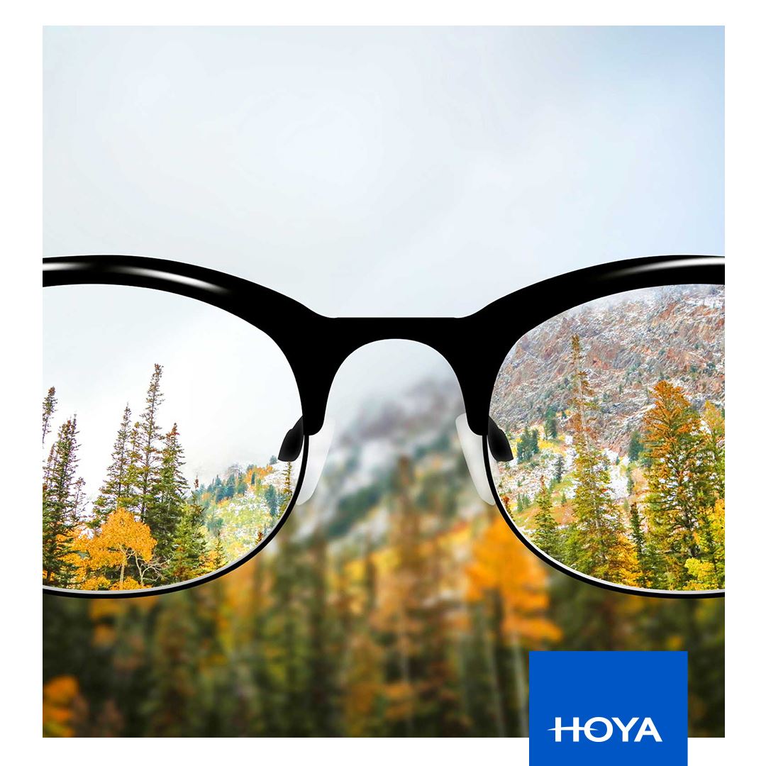 HOYA - Original Lenses - COC Eyewear