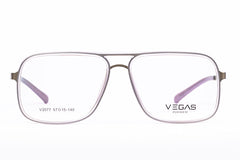 VEGAS V2077 COMPUTER PROTECTION