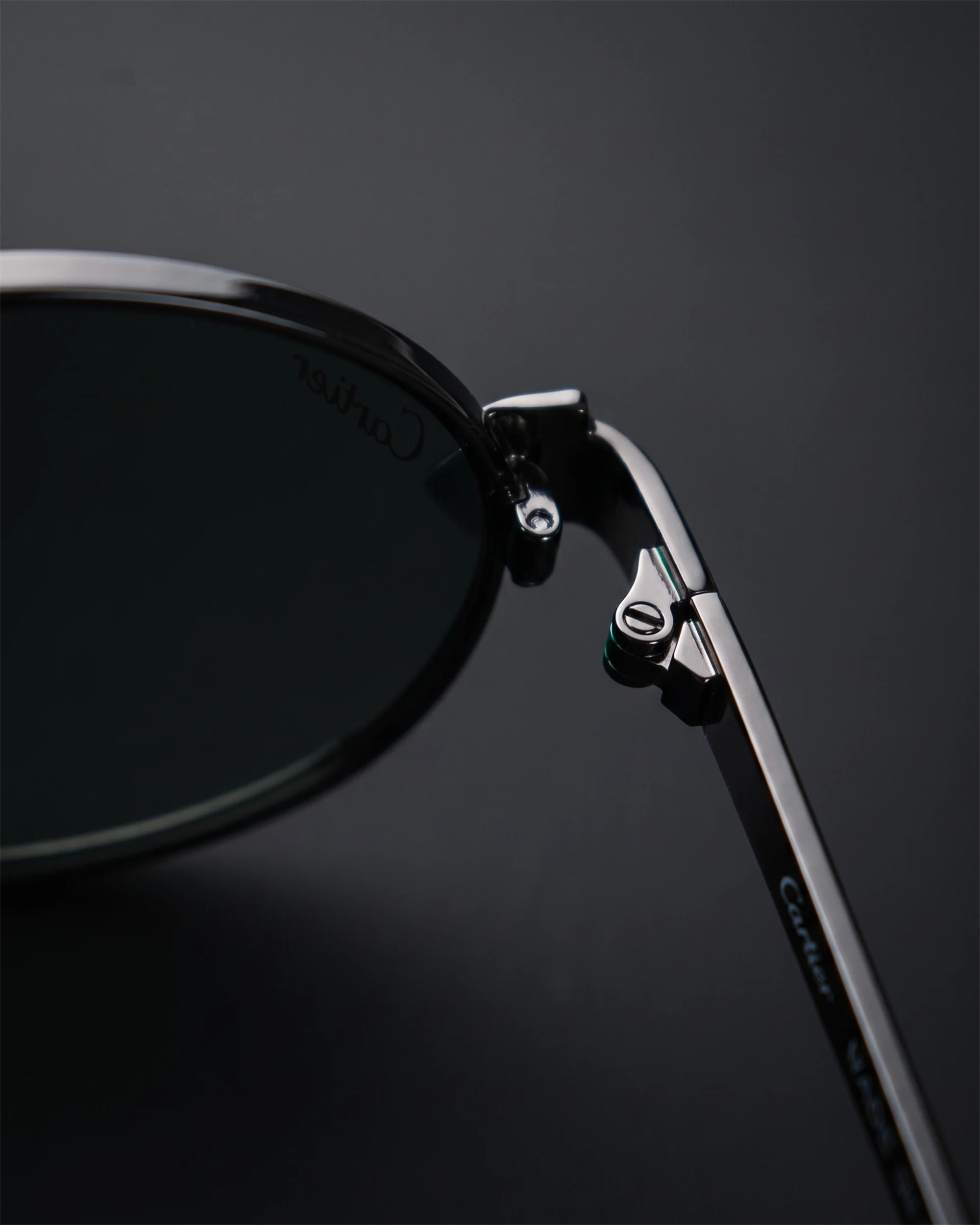 CT0640S Sunglasses Black / Silver / Green — Hinge Profile