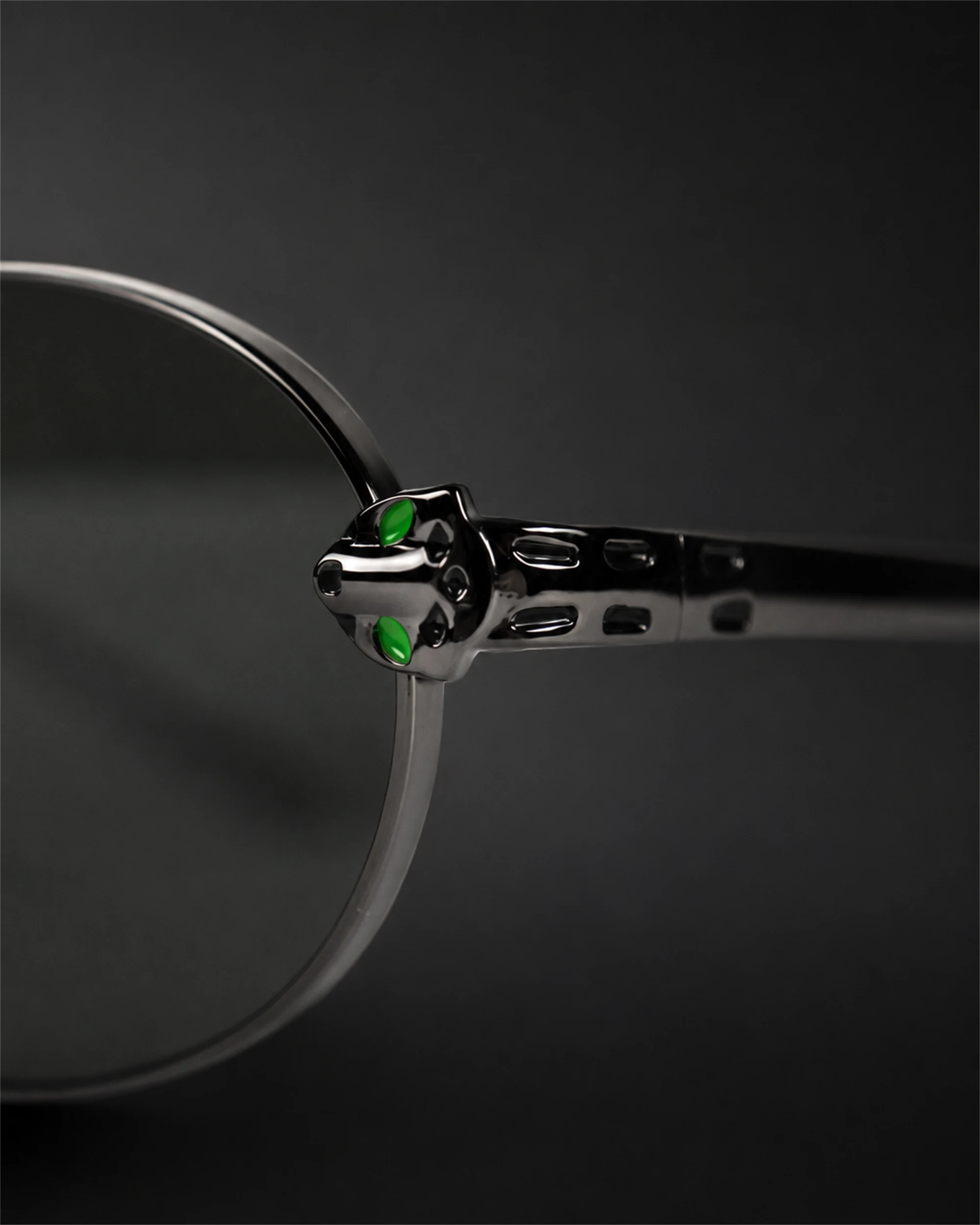 CT0640S Sunglasses Black / Silver / Green — Temple Finish
