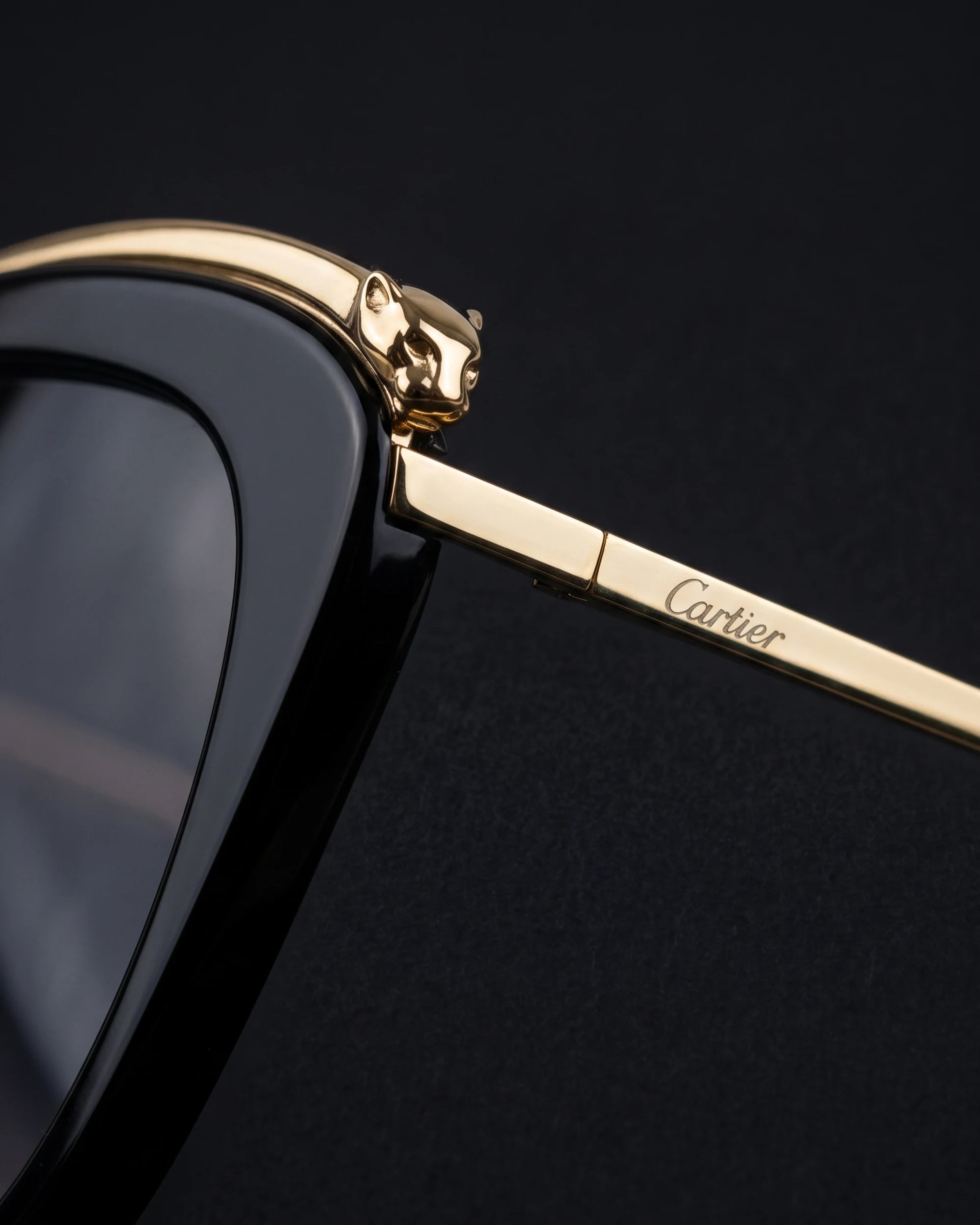 M21HU09230 Sunglasses Black / Gold / Gray — Temple Brand