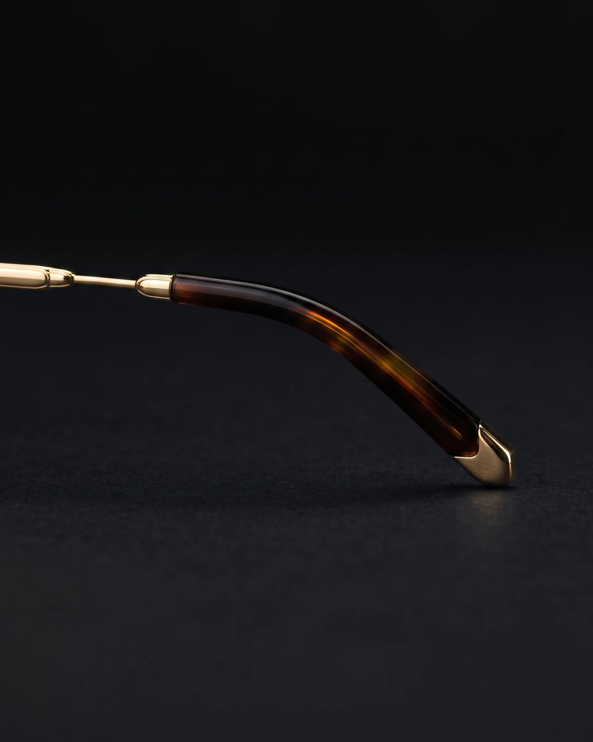 PA-FE-Z57 Sunglasses Gold / Green — Temple Tip