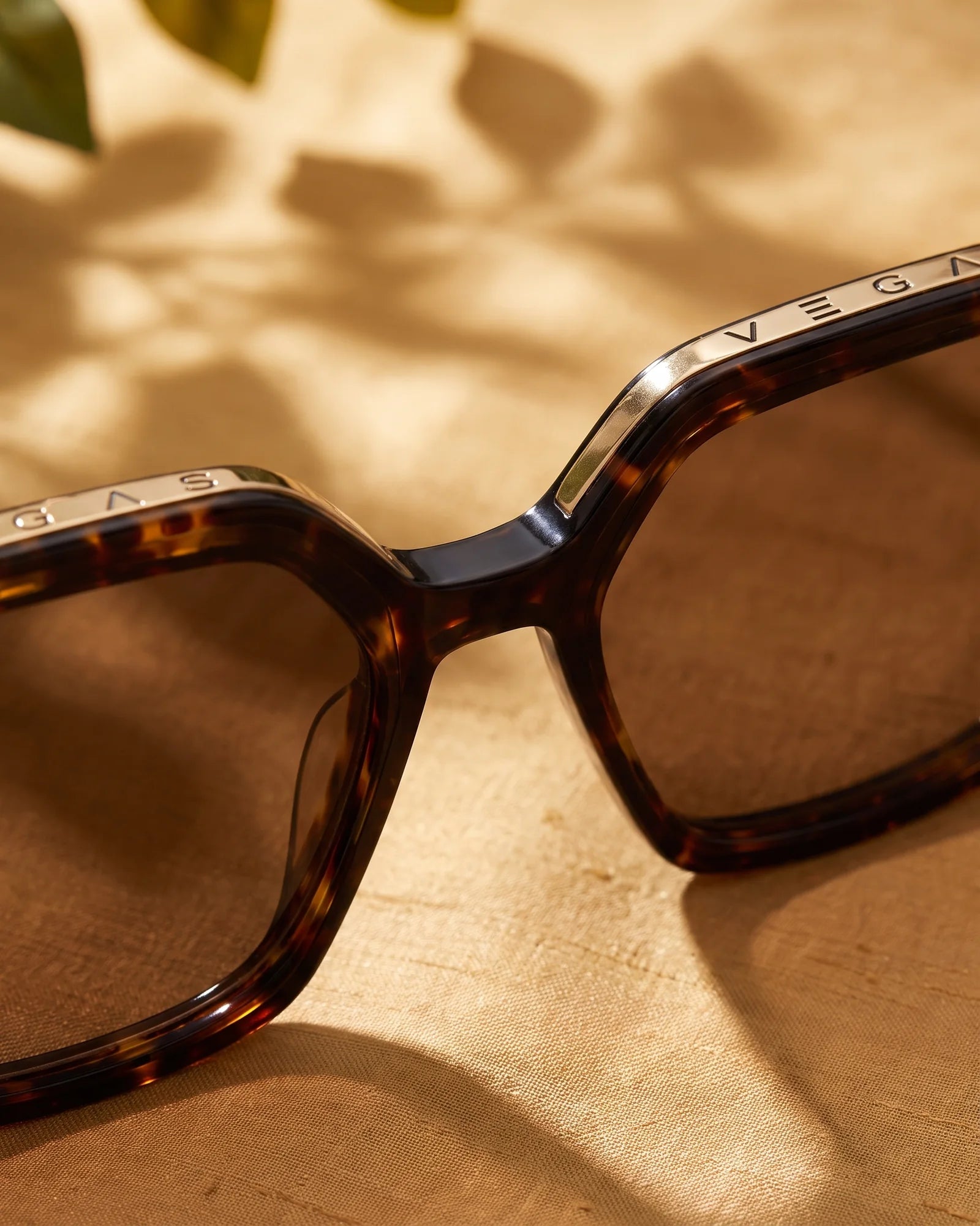 V6001 Sunglasses Tortoise / Brown Lens — Bridge